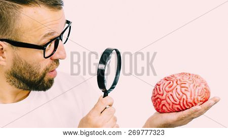 Adult Nerd Man Wearing Eyeglasses Looking At Human Brain Model. Thinking And Intelligence Conept