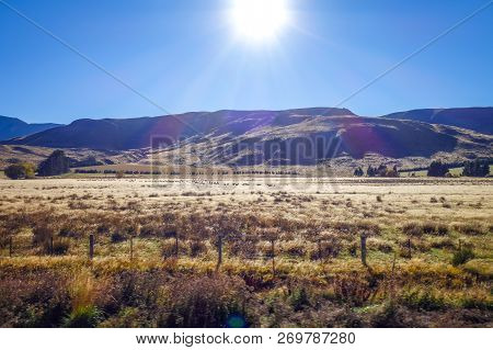 Mountain Fields Landscape In New Zealand Alps