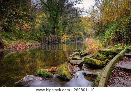Humford Woods And River Blyth In Autumn, Located Upsteam From Bedlington Bridge In  Bedlington Count