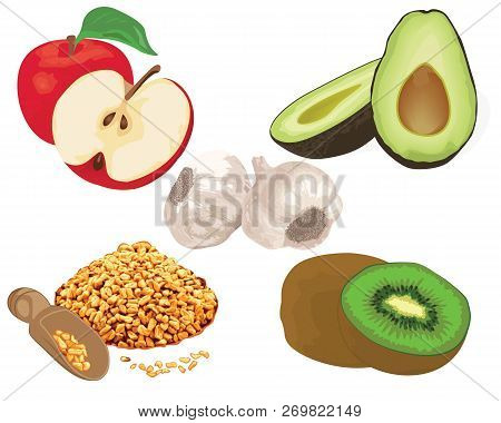 Foods To Reduce Cholesterol Level. Garlic, Apple, Kiwi, Fenugreek, Avocado  Vector Illustration On A