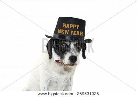 Funny And Elegant Dog Wearing Black Top Hat With Happy New Year Text And Bowtie. Isolated Against Wh