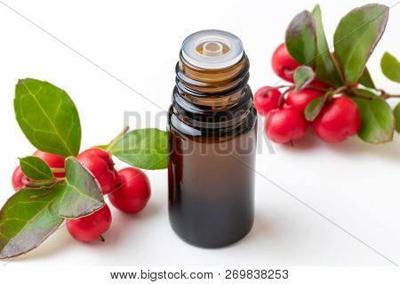 A Bottle Of Essential Oil With Wintergreen Leaves And Berries On A White Background