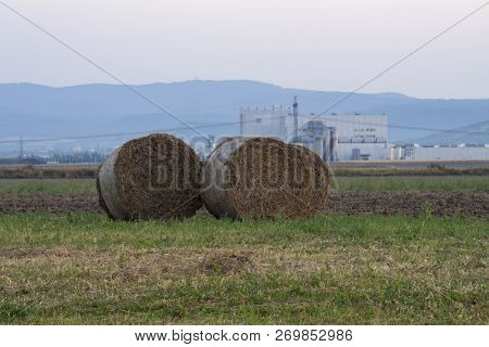 Hayricks Organized In Group On The Meadow With City And Sky Background