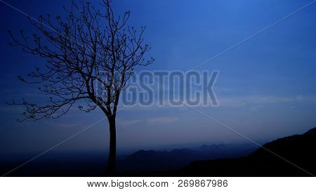 Silhouette Tree Night On Hill / Sky Twilight Blue Color With One Tree Stand On The Hill Mountain - D