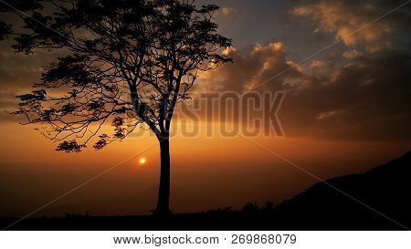 Sunset Tree On The Mountain Beautiful Dramatic Sky Yellow Gold With Cloud Background / Silhouette Su