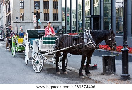 Montreal, Quebec, August 30, 2017 - Horizontal Of Caliche Horse And Drivers Waiting For A Fare In Ol