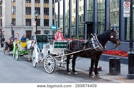 Montreal, Quebec, August 30, 2017 - Horizontal Of Caliche Horse And Drivers Waiting For A Fare In Ol