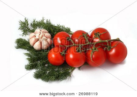 garlic, fennel and tomatoes branch on a white background