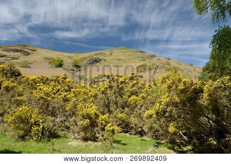 Scenery At The Foot Of Derwentwater Near Borrowdale In The English Lake District