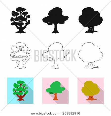 Vector Illustration Of Tree And Nature Icon. Set Of Tree And Crown Vector Icon For Stock.