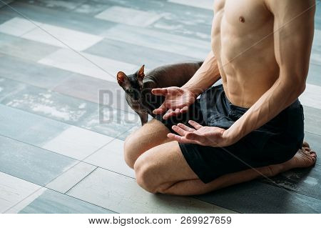 Pet Yoga. Training With Your Animals Can Be Fun. Fit Healthy Strong Yogi Trying To Relax Or Meditate