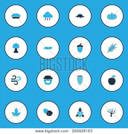 Seasonal Icons Colored Set With Jam, Tree, Maple And Other Cedar Elements. Isolated Vector Illustrat