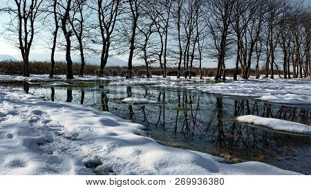 The First Snow In The Oak Grove In The Gabala Region Of Azerbaijan.