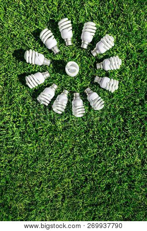 Energy Saving Electric Bulbs On Grass Forming Flower. Green Energy Concept