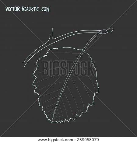 Brazilwood Icon Line Element. Vector Illustration Of Brazilwood Icon Line Isolated On Clean Backgrou