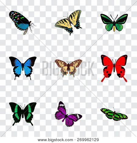 Set Of Butterfly Realistic Symbols With Beauty Fly, Polyommatus Icarus, Checkerspot And Other Icons 