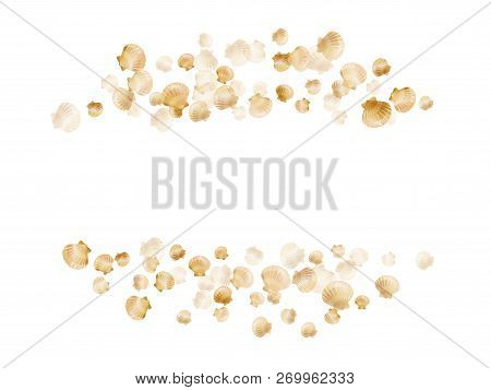 Gold Seashells Vector, Golden Pearl Bivalved Mollusks. Oceanic Scallop, Bivalve Pearl Shell, Marine 