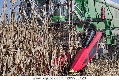 Harvesting Corn:  Large Mechanical Arms Gather Cornstalks During Fall Harvest On A Farm In Southern 