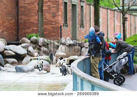 Nuremberg, Germany, April 2016: Parents With Children Visiting A Zoo Nuremberg. People Watching Peng