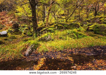 Scotland Autumn