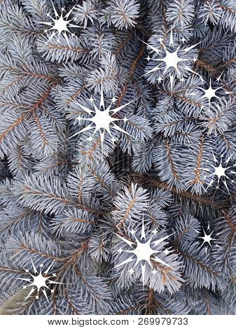 Blue Spruce With Painted White Decorative Snowflakes. Blue Fir. Christmas Tree. Fragments Of Branche