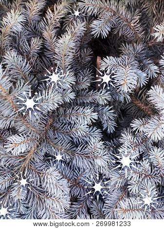 Blue Spruce With Painted White Decorative Snowflakes. Blue Fir. Christmas Tree. Fragments Of Branche