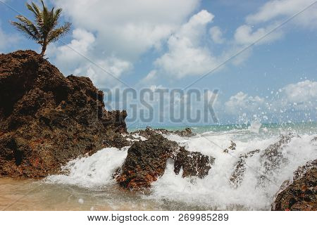Beautiful Hot Sunny Beach In Brazil Northeast