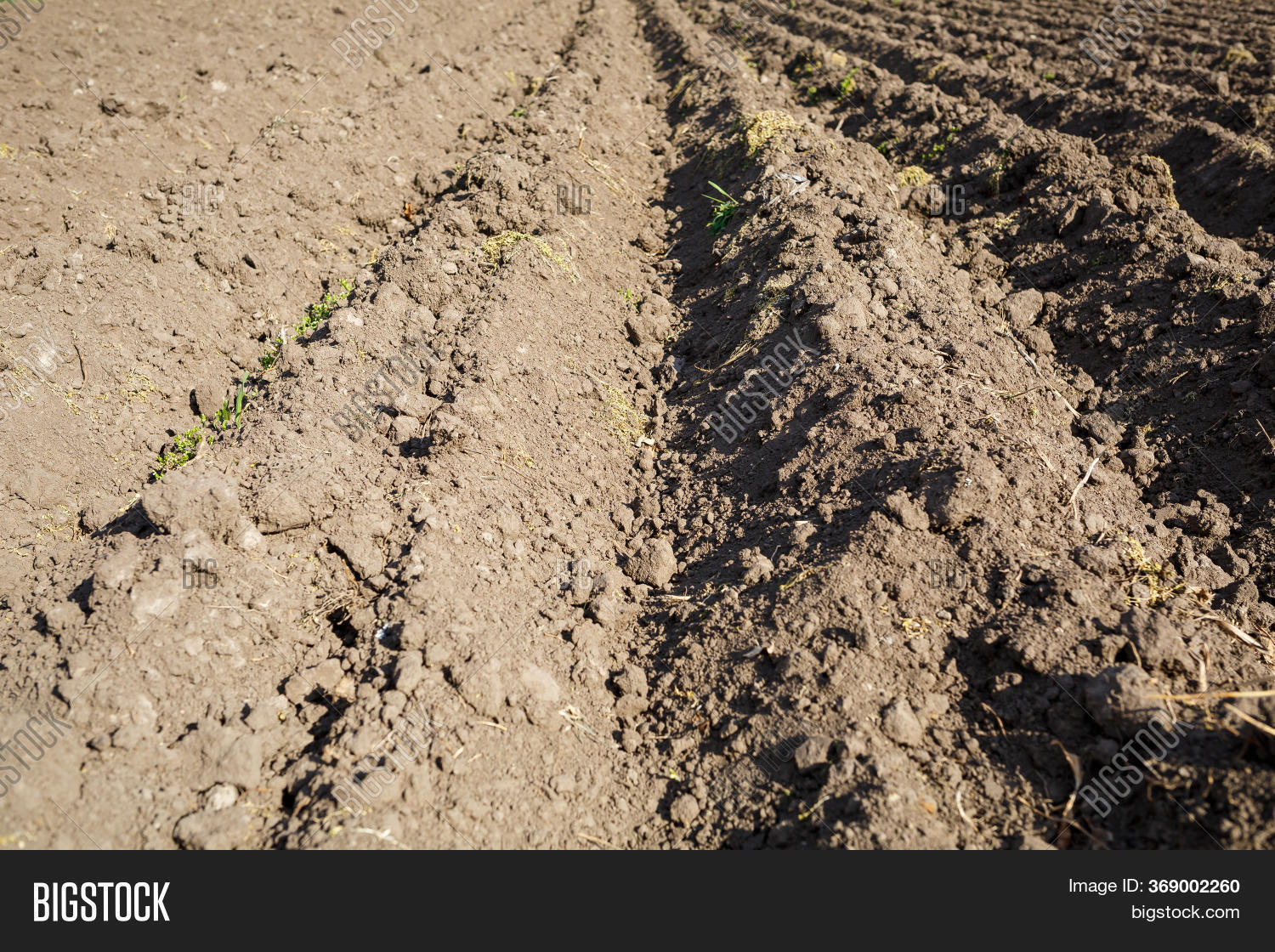 Loose Soil Before Image & Photo (Free Trial) Bigstock