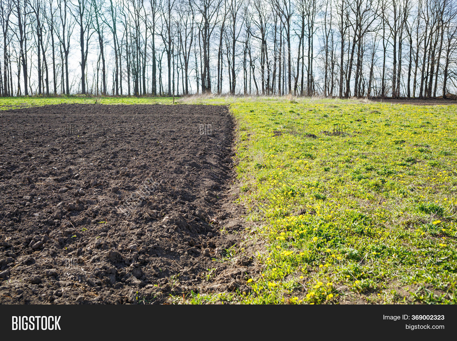 Loose Soil Before Image & Photo (Free Trial) Bigstock