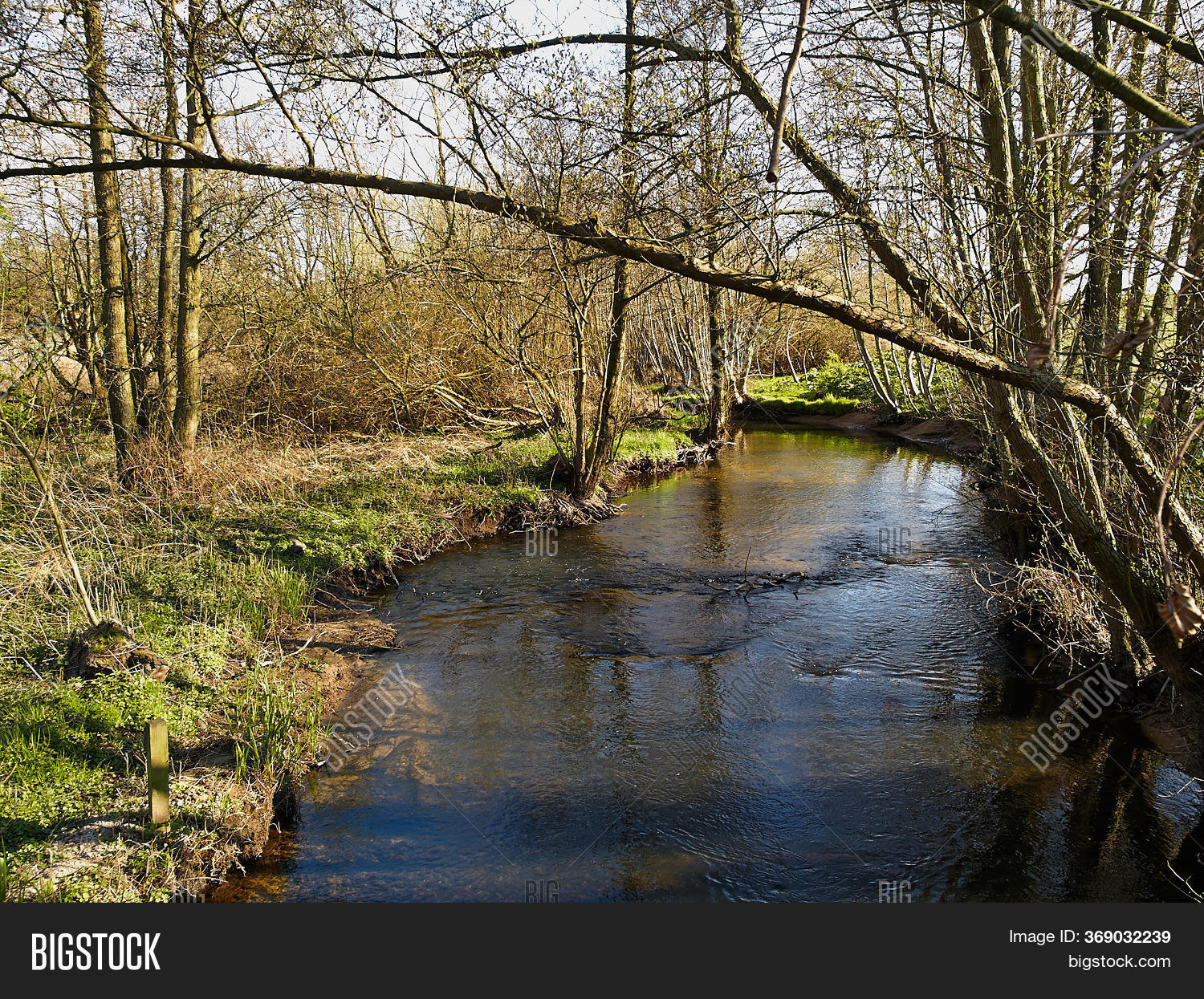 Small Beautiful Brook Image & Photo (Free Trial) Bigstock