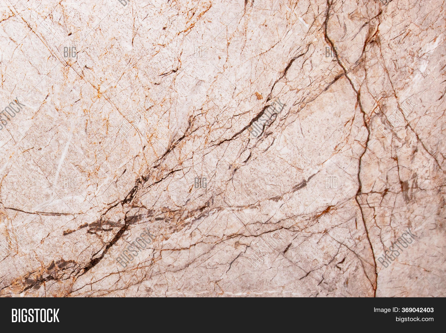 White Gold Marble Image & Photo (Free Trial) Bigstock