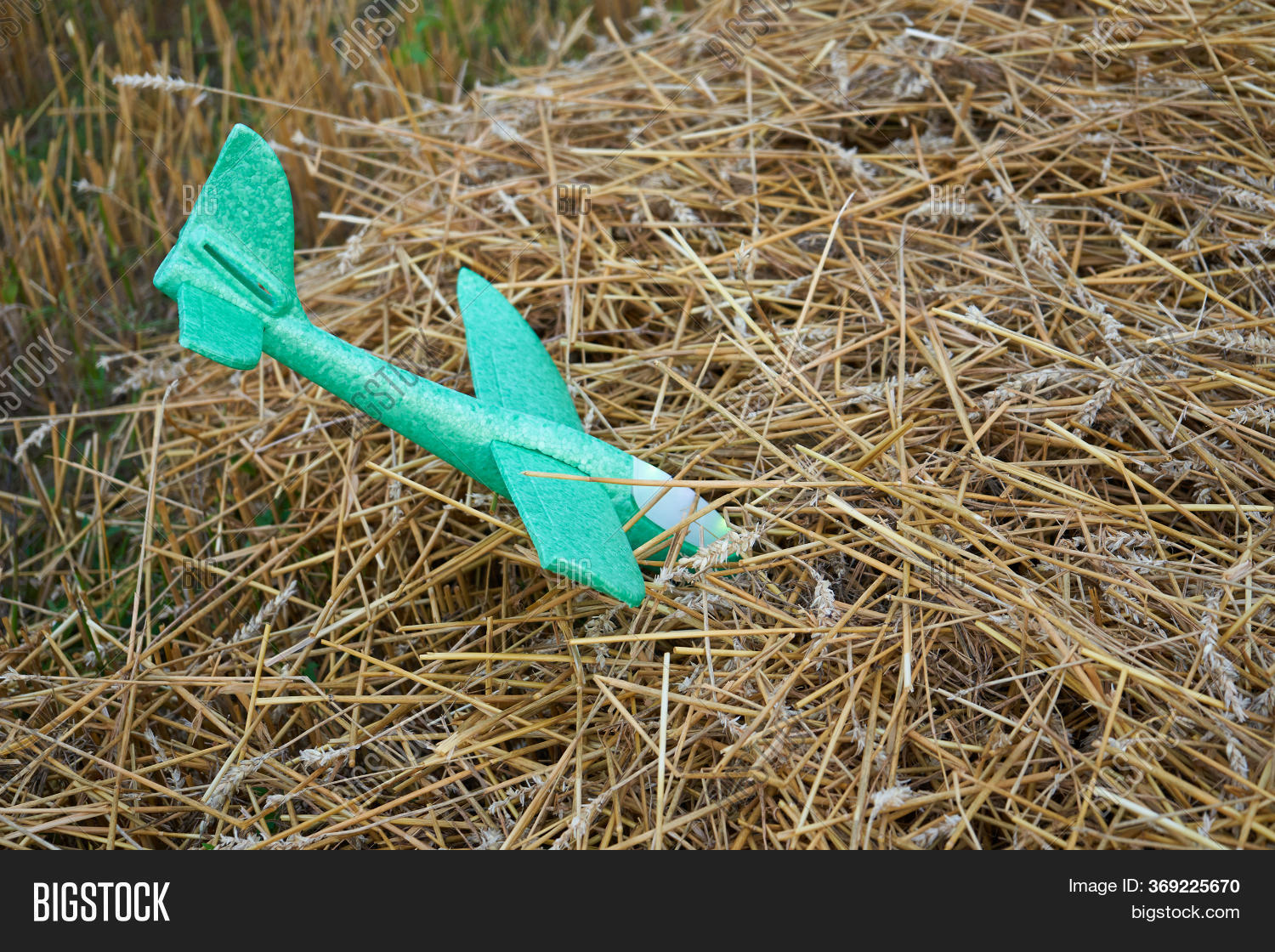 Toy Airplane Styrofoam Image & Photo (Free Trial) | Bigstock