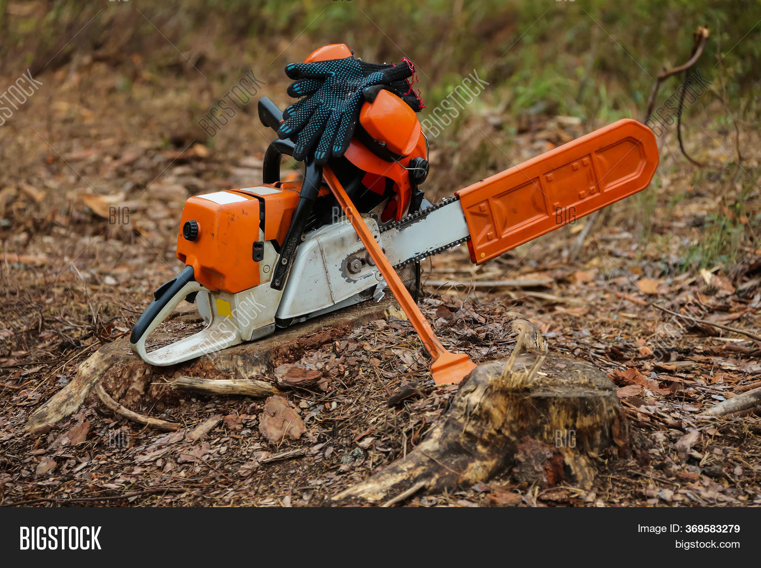 Lumberjack Saws Tree Image & Photo (Free Trial) Bigstock