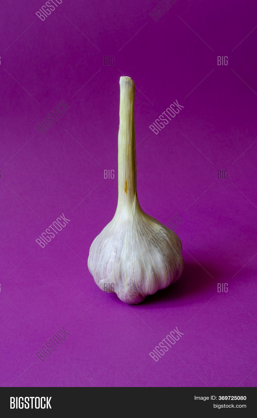 Head Fresh Garlic On Image & Photo (Free Trial) Bigstock