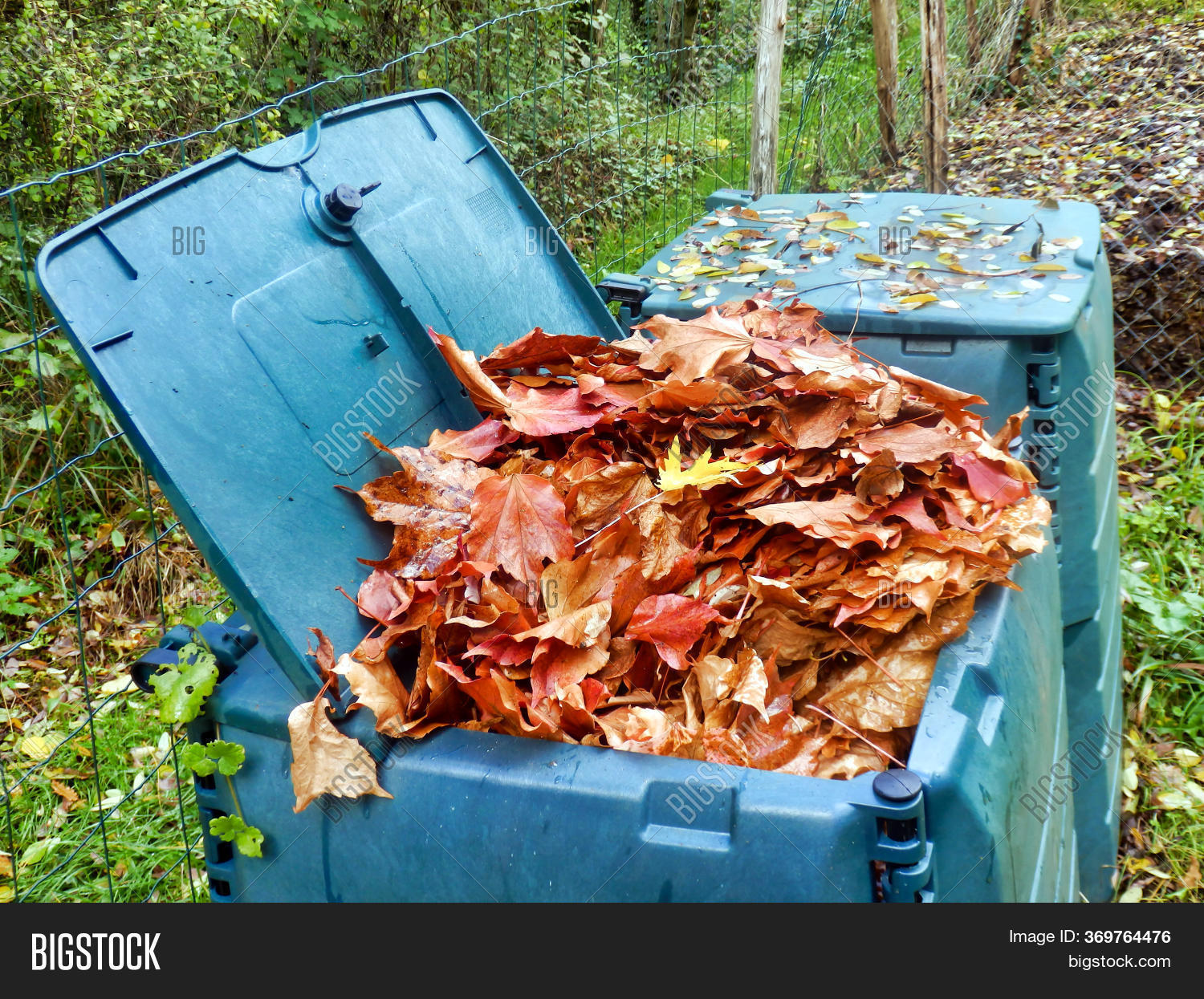 Compost Bin Full Image & Photo (Free Trial) Bigstock