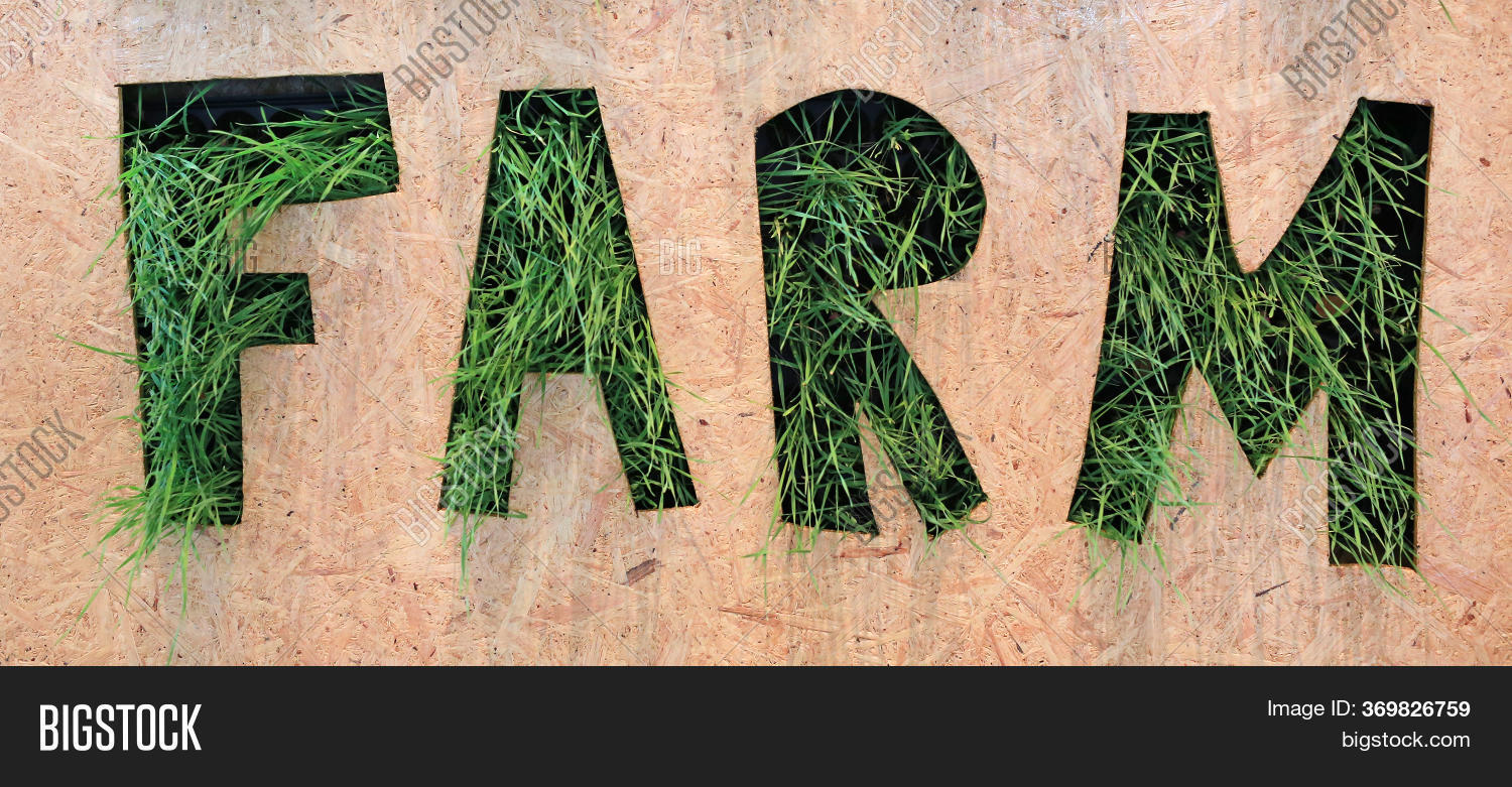 Farm Word Made Green Image Photo Free Trial Bigstock