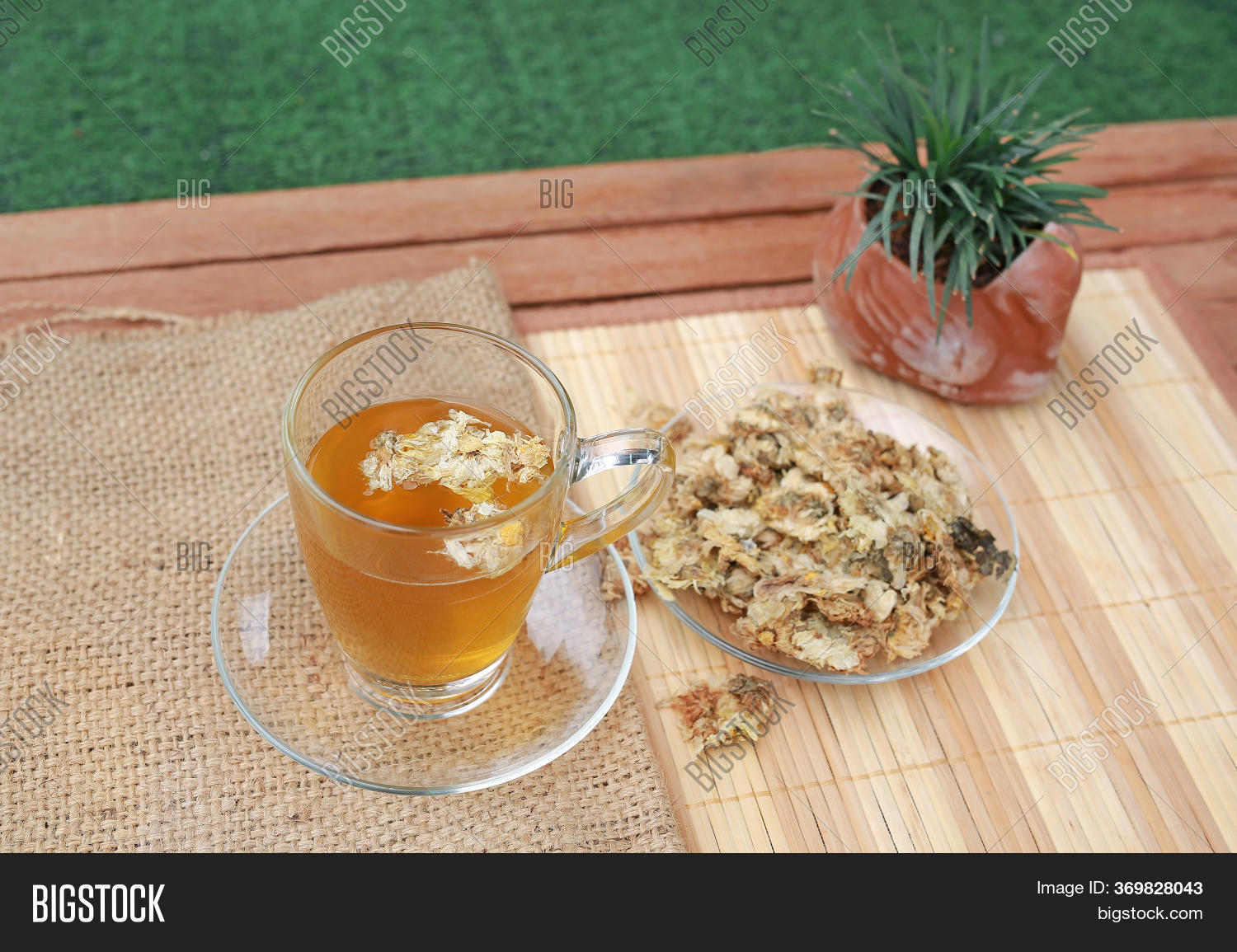 Chrysanthemum Juice Image & Photo (Free Trial) Bigstock