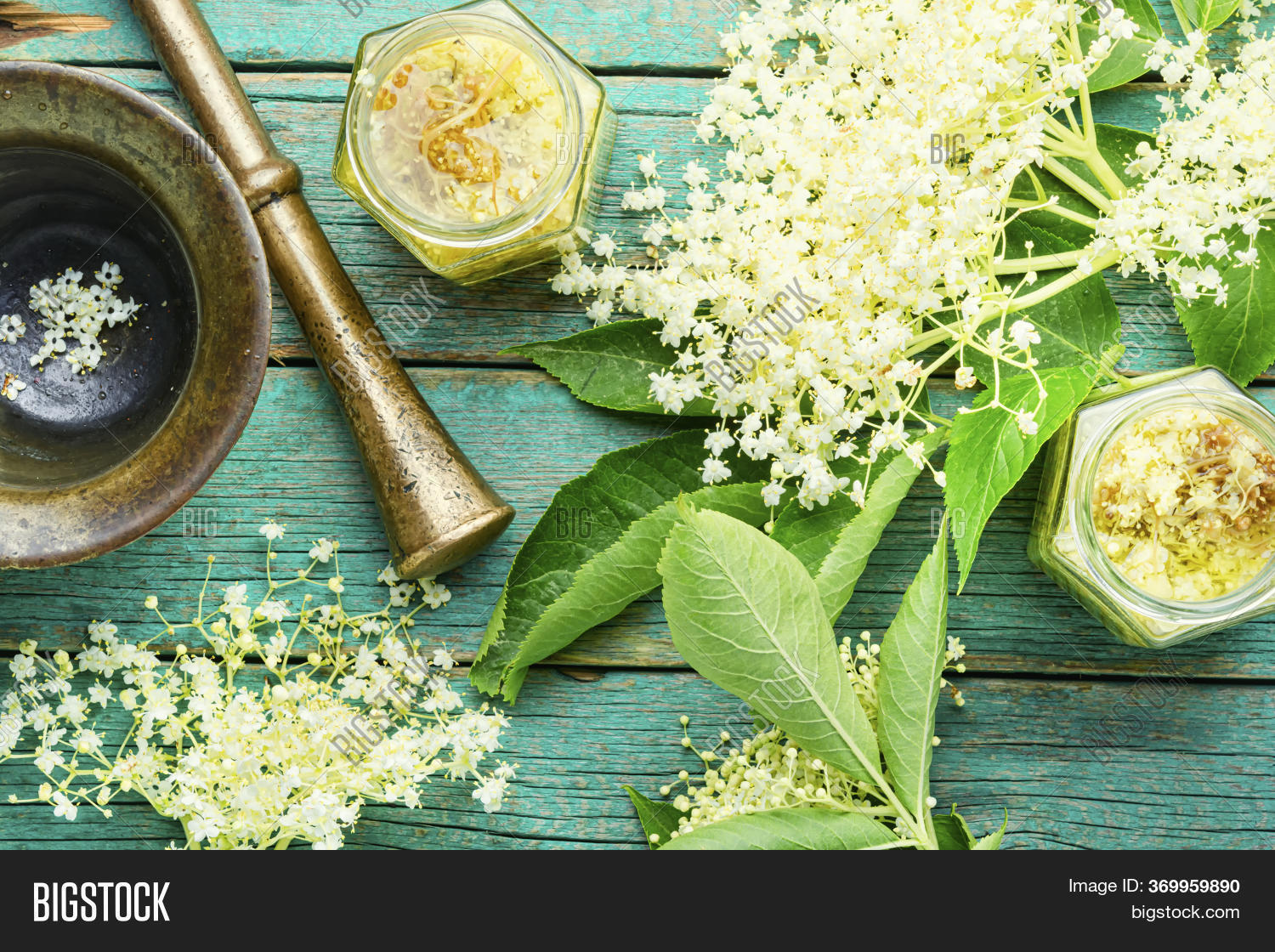 Elderberry Flowers Image & Photo (Free Trial) Bigstock