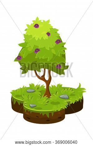 Vector Illustration Of An Isometric Cartoon Tree And A Plot Of Soil.