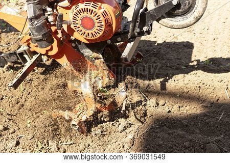 Man Farmer Plows The Land With A Cultivator. Agricultural Machinery: Cultivator For Tillage In The G