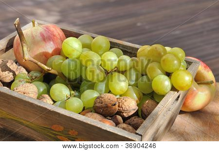 ผลไม้ตามฤดูกาล