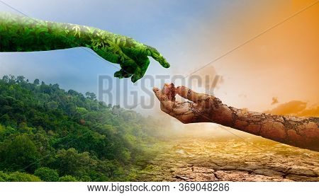 Environment Concept : Greengrass Hand On Nature Mountain And Dry Soil Hand On Crack Arid.