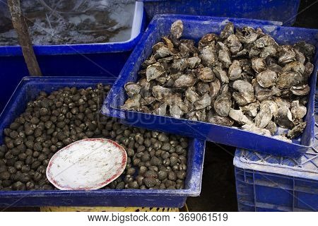 Local Market Seafood Shop For Sale Thai People And Travelers Customer At Ban Bang Krachao Fishing Vi