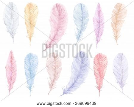 Hand Drawn Watercolor Vibrant Feathers Set. Boho Style Wings Feathers, Illustration Isolated On Whit
