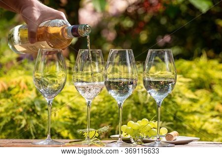 White And Rose Wine Tasting On Winery, Pouring Of Cold Dry Wine In Glasses Outdoor In Sunny Day