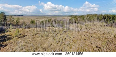 aerial view of northern peat swamp under sky with clowds