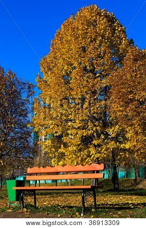 Panca In autunno Park, Chertanovo Centralnoe, Mosca