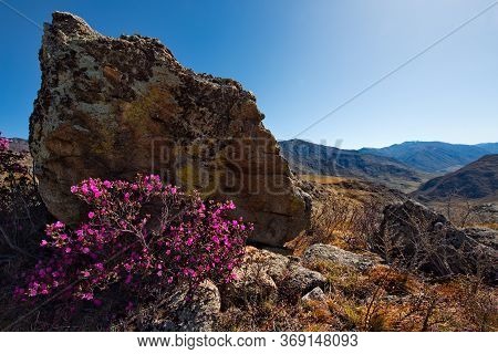 Russia. South Of Western Siberia. Mountain Altai. Thousands Of Tourists From Different Countries In 