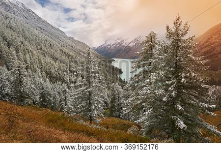 Mountains, Winter Snowy Forest.