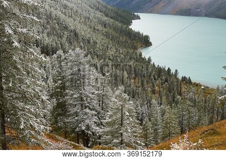 Mountains, Winter Snowy Forest.